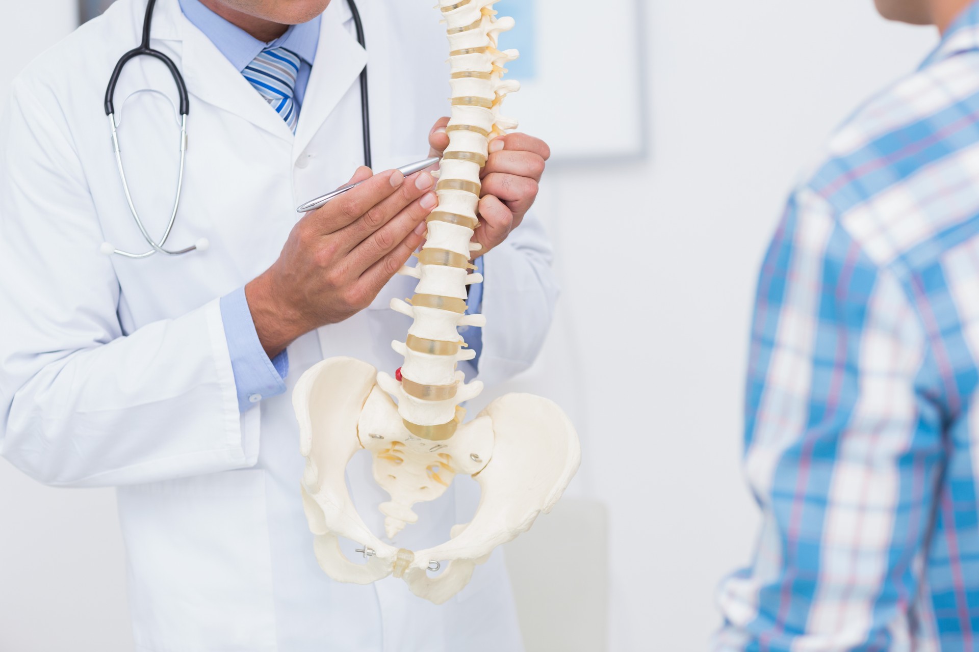 Doctor showing anatomical spine to his patient